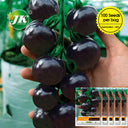 'Black Pearl' Black Tomato Seeds