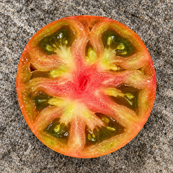 459 Maf's Brown #9 Tomato, 5 Seeds