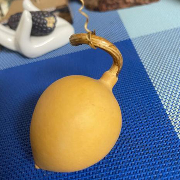 Peach Shaped Gourd, 10 Seeds
