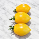1152 Raindrop Micro Dwarf Tomato, 5 Seeds