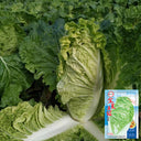 Golden Summer Crown Cabbage Seeds, 10g