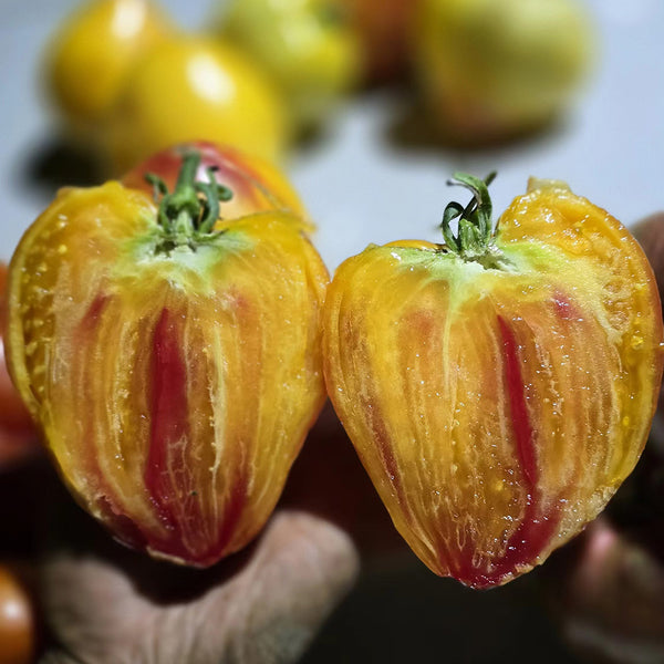 782 Bi-Color Stretch Oxheart Tomato, 5 Seeds