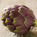 Artichoke, Purple