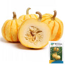 Yellow Beibei Pumpkin Seeds, 3 Seeds