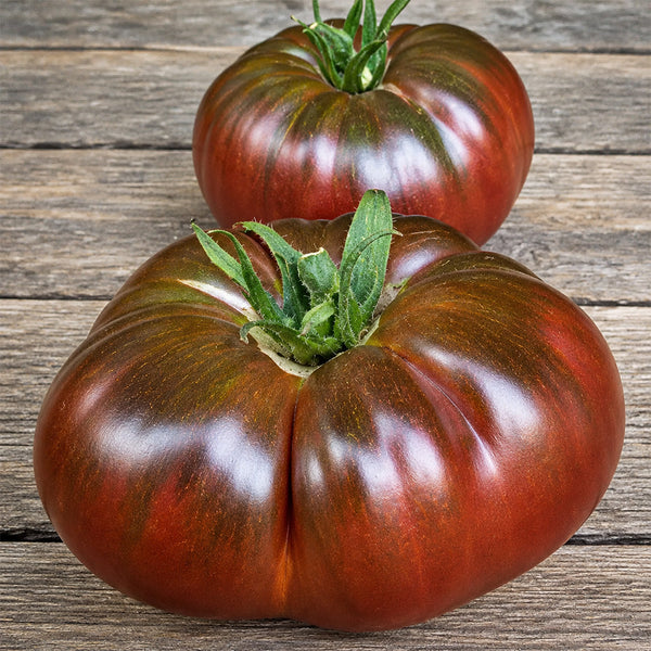 13 Mikado Black Tomato, 5 Seeds
