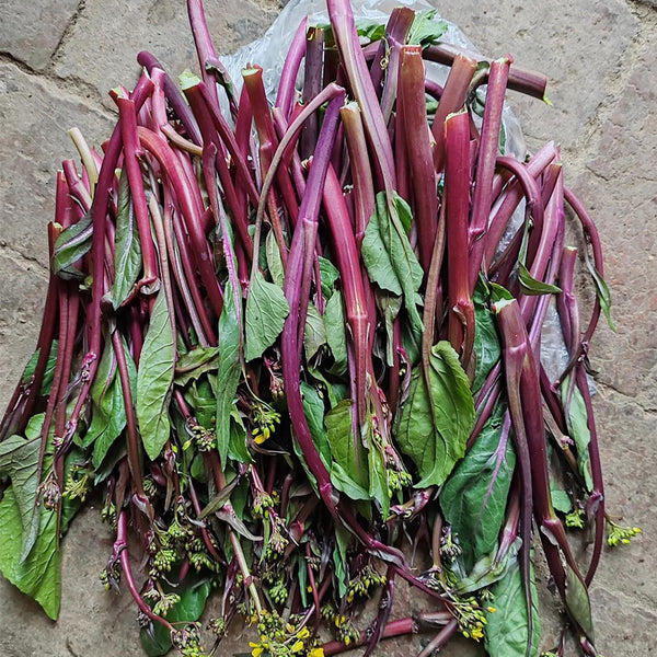 'Jiuhua' Flowering Stalk Seeds, 10g