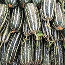 'Boyang No.9' Sesame Honey Melon, 500 Seeds