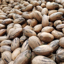 Pecan, 5 Seeds
