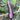 Zilong No.1 Eggplant, 200 Seeds