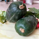 Little Darling Melon, 20 Seeds