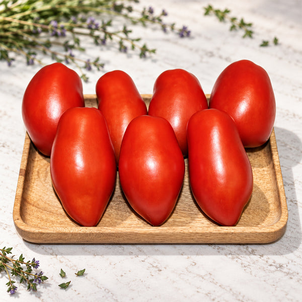 530 Perino Grosso Tomato, 5 Seeds