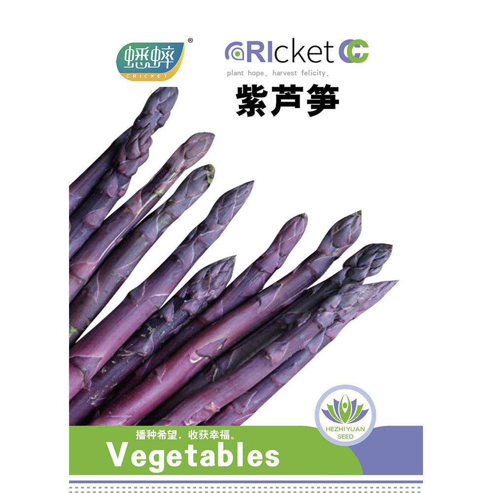 Purple Passion Asparagus Seeds