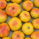 155 Williams'Striped Tomato, 5 Seeds