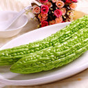 Emerald Green Bitter Melon Seeds, 20 Seeds