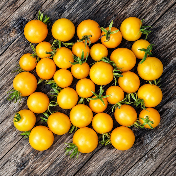 310 Dwarf Eagle Smiley Tomato, 5 Seeds