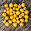 310 Dwarf Eagle Smiley Tomato, 5 Seeds
