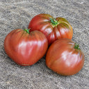 177 Dwarf Purple Heart Tomato, 5 Seeds
