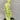 Euphorbia virosa, 7-8cm