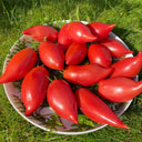 Sultan Pink Shoes Tomato