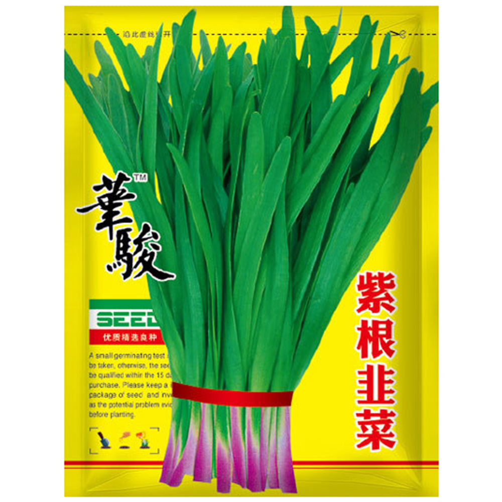 HUAJUN Purple-rooted Chinese Chives Seeds, 5 × 5g Bags