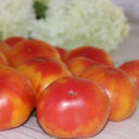 1037 Honey Avenue Tomato, 5 Seeds