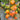 1027 Fiery Veil Tomato, 5 Seeds