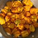 Hainan Yellow Lantern Pepper, 20 Seeds