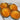 1009 Ochre Veil Tomato, 5 Seeds
