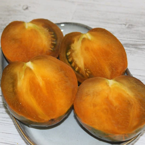 Ochre Veil Tomato, 5 Seeds