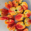 997 Amber Scallop Tomato, 5 Seeds