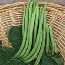 Huajun No.13 Snap Bean Seeds, 10g