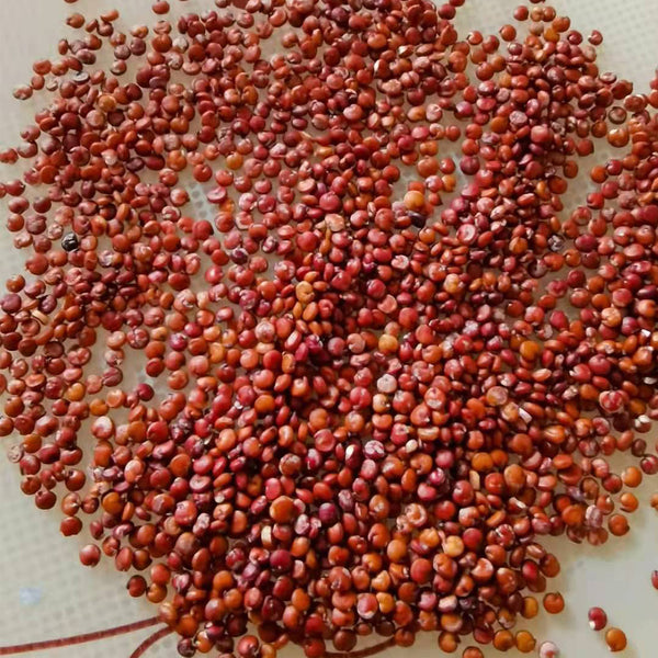 Red Quinoa Planting Seeds, 30 Grams ≈ 11000 Seeds