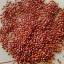 Red Quinoa Planting Seeds, 30 Grams ≈ 11000 Seeds
