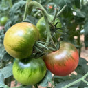 'Strawberry' Tomato Seeds, 20 Seeds