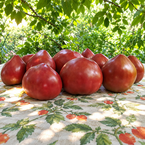 265 Cherokee Black Heart Tomato, 5 Seeds