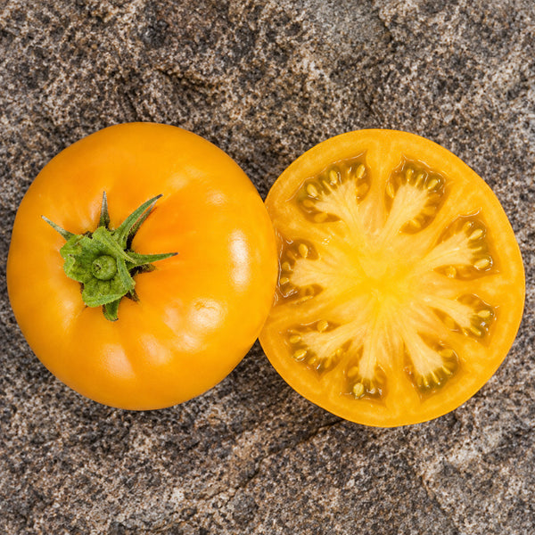 96 Cherokee Tiger Orange Dwarf Tomato, 5 Seeds
