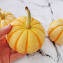 Yellow Beibei Pumpkin Seeds, 3 Seeds