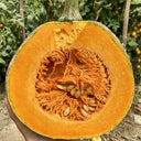 Honey Jar Pumpkin, 20 Seeds