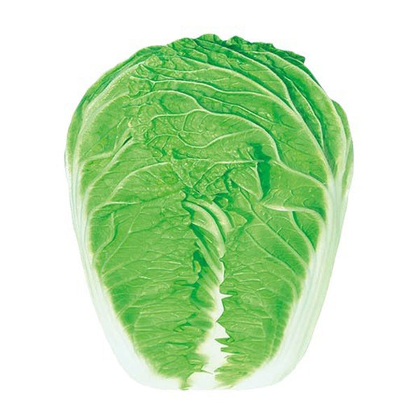 Early-maturing No.5 Chinese Cabbage Seeds, 5 × 5g Bags
