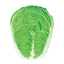 Early-maturing No.5 Chinese Cabbage Seeds, 5 × 5g Bags