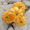 Yellow Beibei Pumpkin Seeds, 3 Seeds