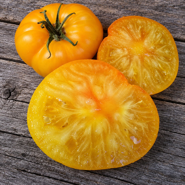 355 Dwarf Jackass Yellow Tomato, 5 Seeds