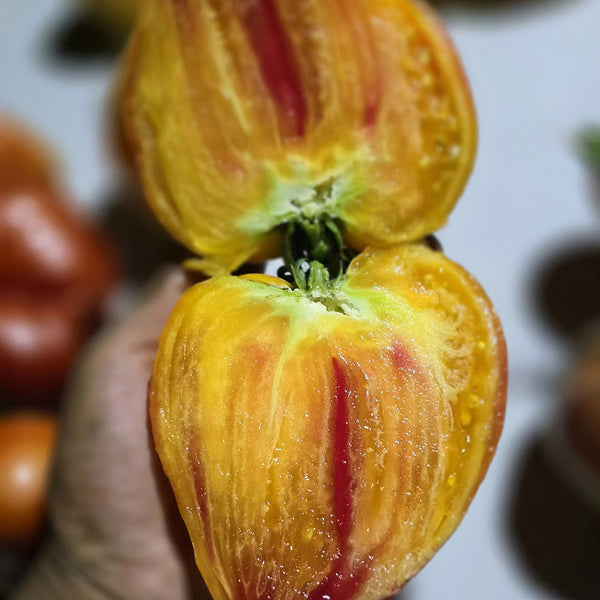 782 Bi-Color Stretch Oxheart Tomato, 5 Seeds