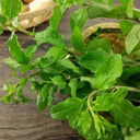 Fruitless Edible Leaf Wolfberry, 1000 Seeds