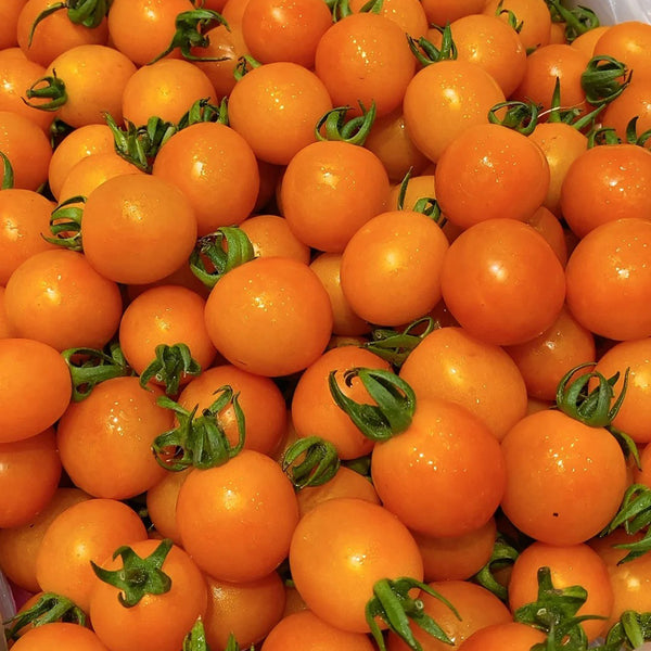 Golden Emperor Cherry Tomato, 200 Seeds