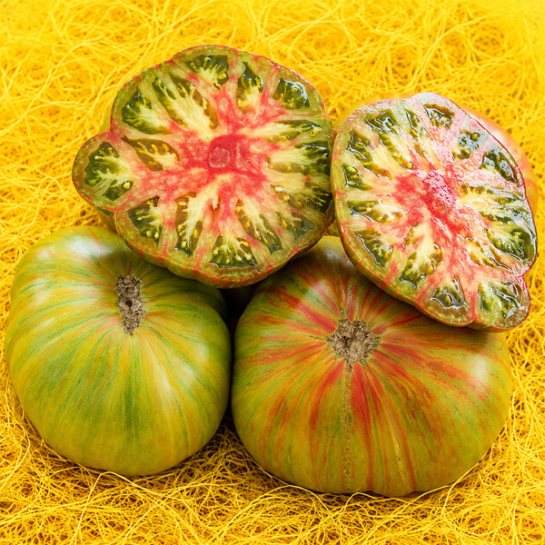 86 Green Copia Tomato, 5 Seeds