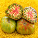 86 Green Copia Tomato, 5 Seeds