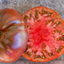 851 Roger Z Tomato, 5 Seeds