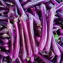 W963 Red Gold Purple-Red Long Eggplant, 5g