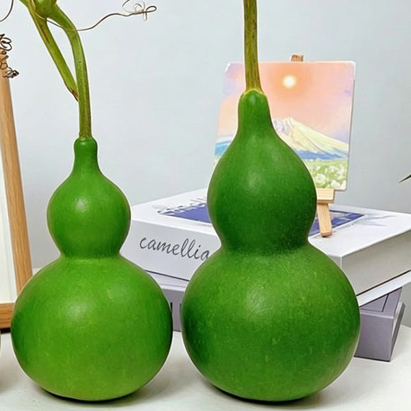 Jade Green Gourd, 10 Seeds
